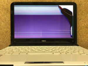 BL550/DS6W 液晶割れ