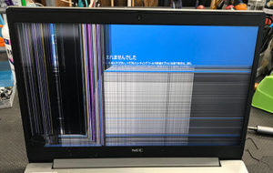 PC-NS600NAS-2 液晶割れ