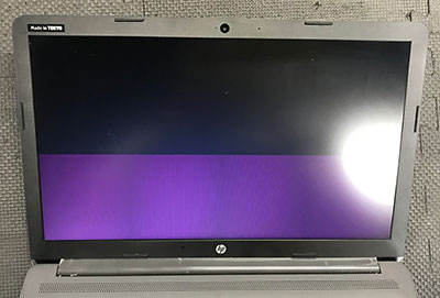 HP 250 G7 画面が紫色