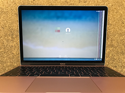 MacBook 12 画面に線
