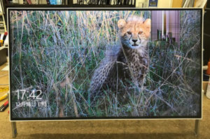 FH52/D1 画面割れ