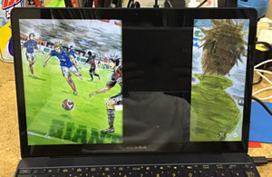 UX390UA 画面に線