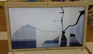 LE150/J 画面割れ