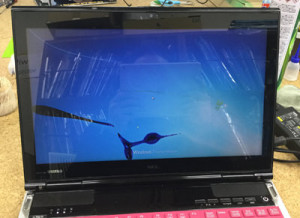 LL750/H 液晶割れ