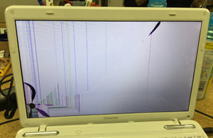 T451/46DWS　液晶割れ