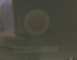 mac 画面うっすら