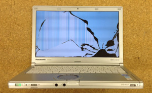 Panasonic-CF-SX3NETBR_1