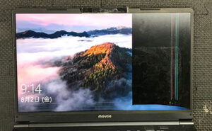 BC-DAIVIDFMX25-201　修理