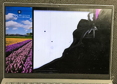 inspiron 14 5420 画面故障