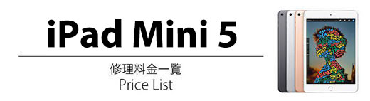 ipad Mini 5 修理料金表